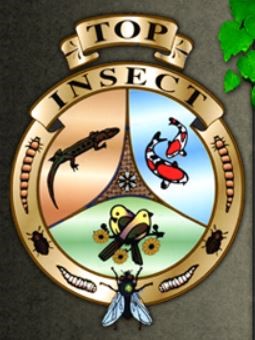 Insectenkweker Topinsect